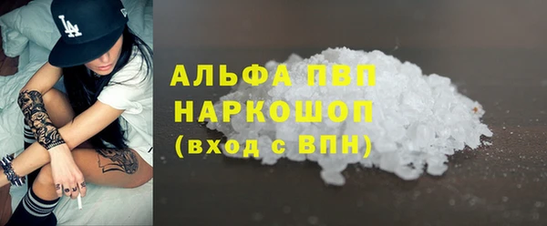 стаф Алексин