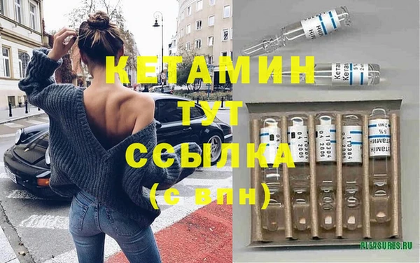 стаф Алексин