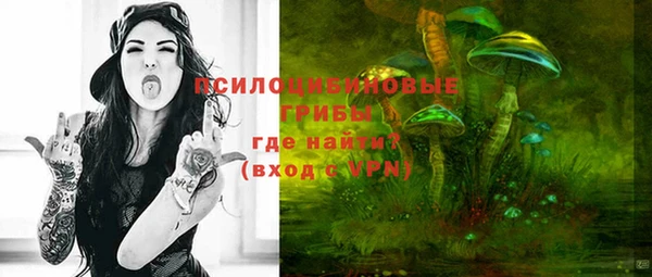 винт Алзамай